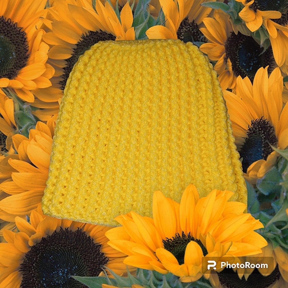 NWT Adult crochet messybun beanie